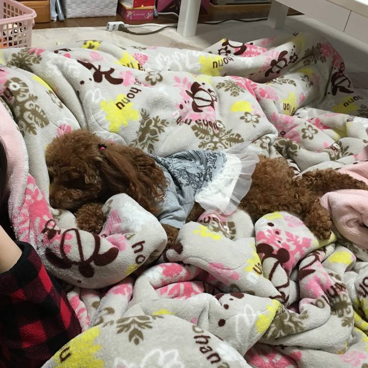 7a6806ec d50b 4f32 ae1b 318ff3103fe0