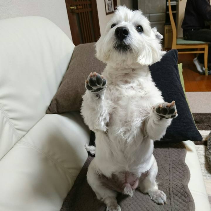 7a688930 68b8 45f8 a23c 87984d0eef23