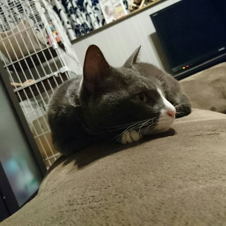 7a68dbc3 2a14 4b9b 8b6a f697769ea312