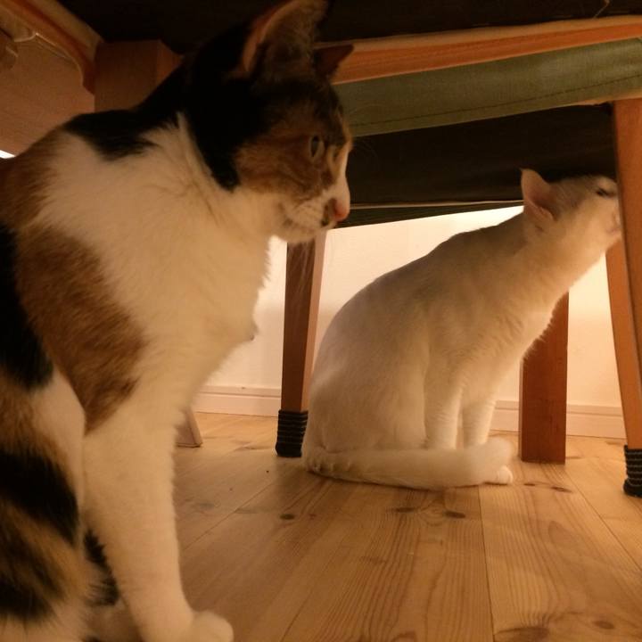 7a6a1427 f2cc 4235 a030 52a12e3c8b74