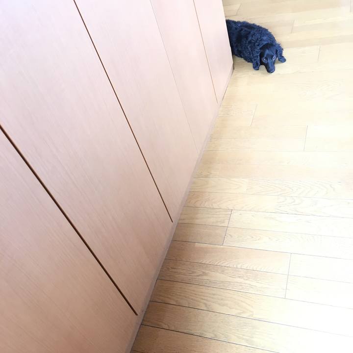 7a6a1649 40a1 4f12 a312 a3e343470126