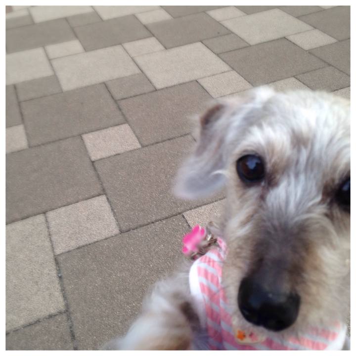 7a6a875f d945 4cdd b8e2 7303a0d5c3d4