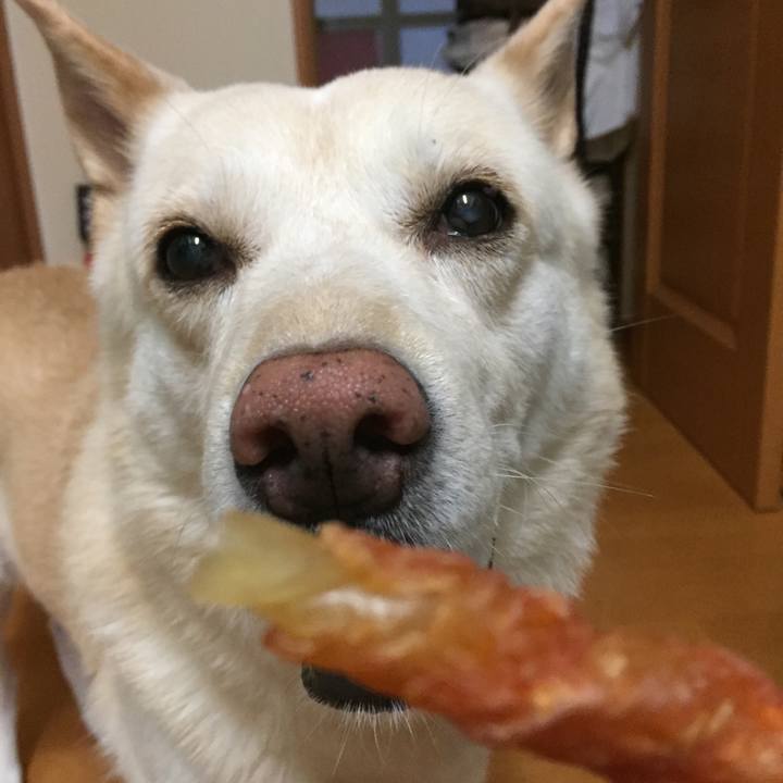 7a6b8c66 75cb 45eb 9e7b 9d80ec9040e1