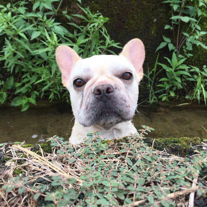 7a6ba43e 8ddd 4b5c 9580 8b651073950b