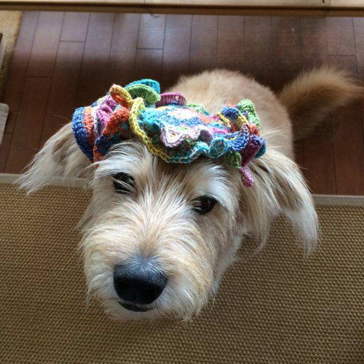 7a6bad76 19cb 449a b49e d923f7d399a0