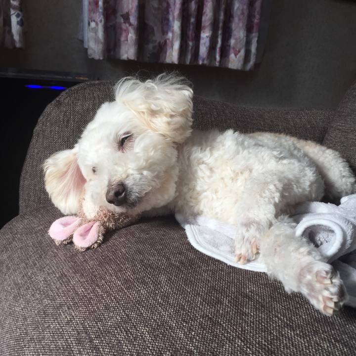 7a6c65fc 7e86 4285 81bf 70d2cc4749b2