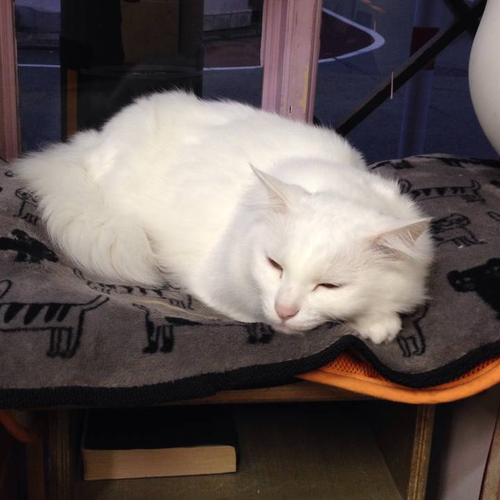 7a6d4d41 6f40 49b8 8d78 eaec61cf061b