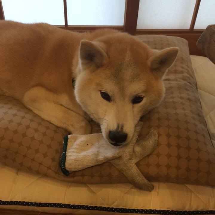 7a6de0cc 1eb0 4bdd 8794 840bbfc287d9