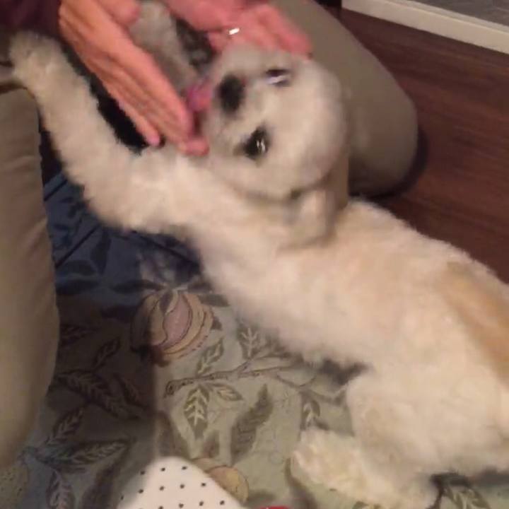 7a6df23f 813e 449a a412 4df3c2a34619