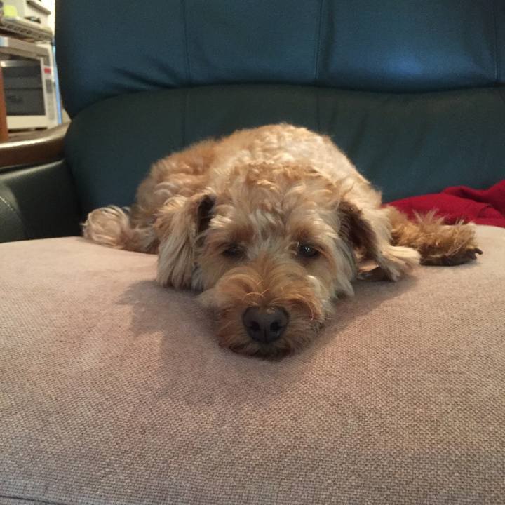 7a6e39a6 9f72 4604 98f4 92e3b95b6b86