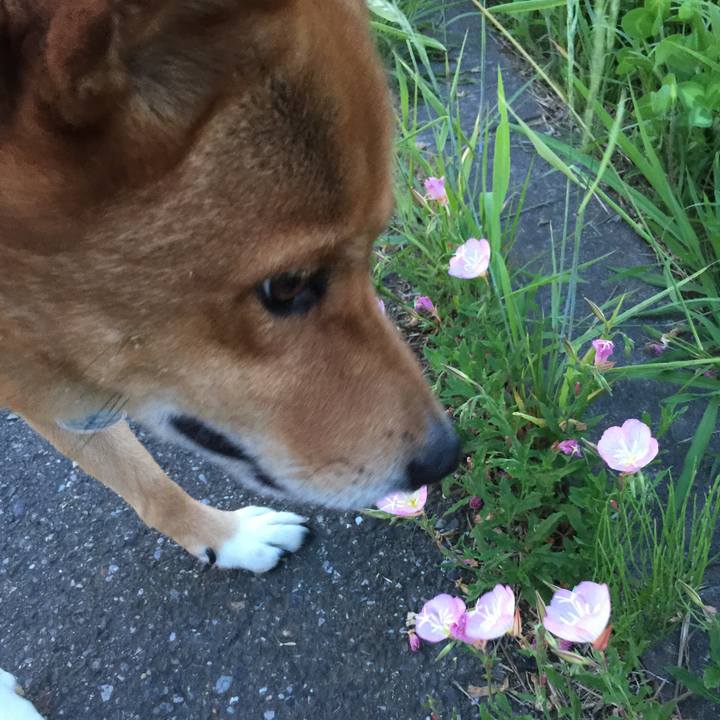 7a6e48e2 9bce 4fa0 8be7 4350b928f0a6