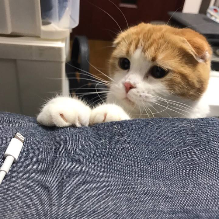 7a6f24c1 963a 4b16 887d 371af60e6f61