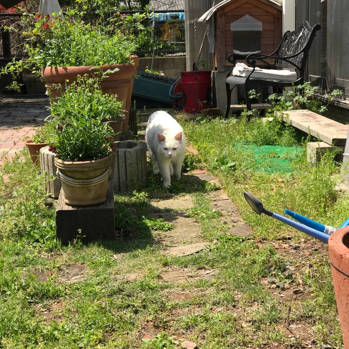 7a6f313a 4128 4b10 b4bb 4f4e1f5f0dad