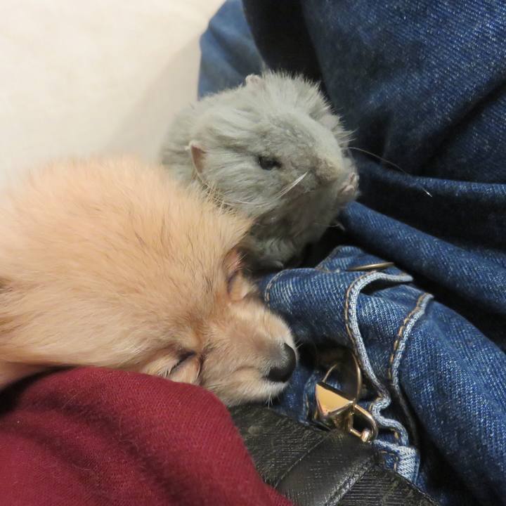 7a6f422c 04d3 46ae bb29 87481a2661ab