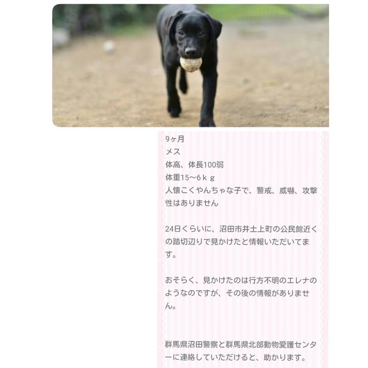 7a6fb678 033a 4b33 8ae6 54849236ff90