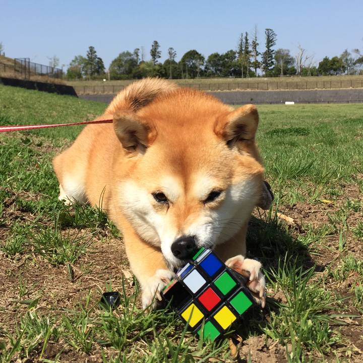 7a6fe973 5f1a 4d12 9c0b 376a8d1e0ac8