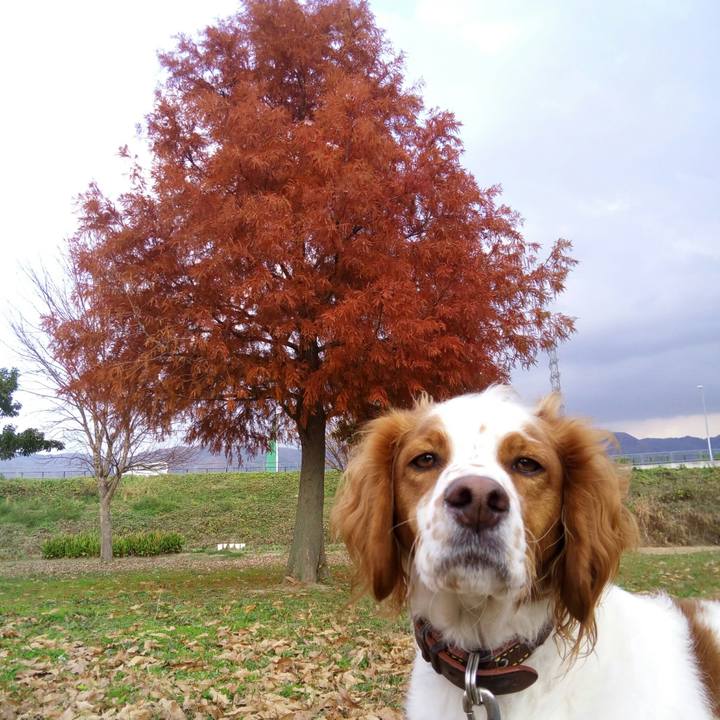 7a6ffbde d96f 44cf 9197 6fca7cbe0901