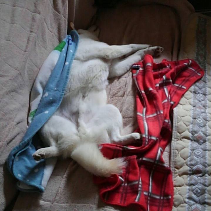 7a72ad8a 7fd9 4206 90e2 83ff2e47e21f