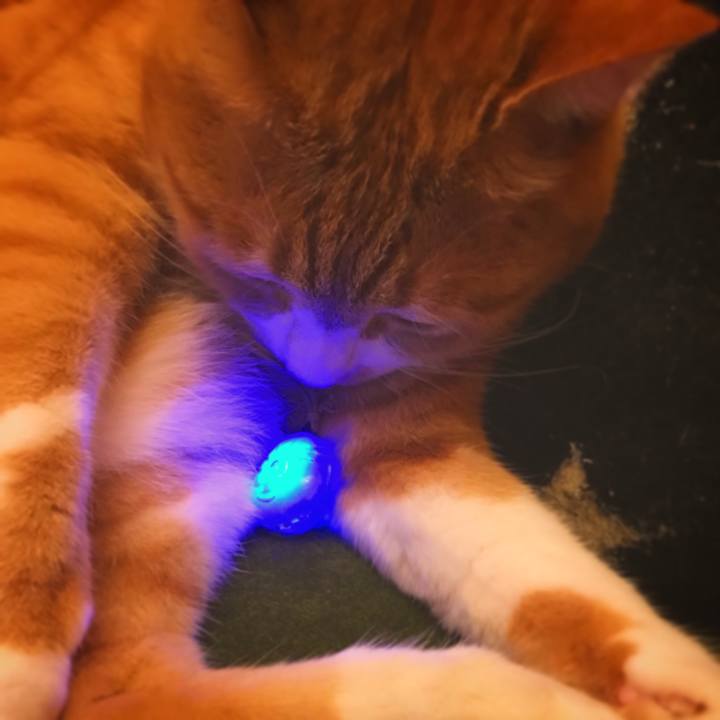 7a72b3f7 4bab 4070 b5d0 e26a6035b84a