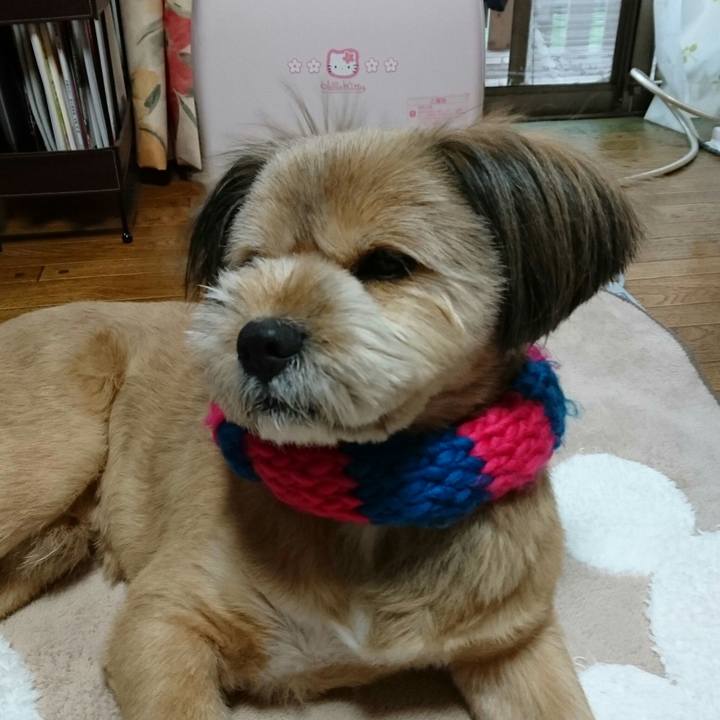 7a72f902 bb82 4ede a948 b71c5025a01d