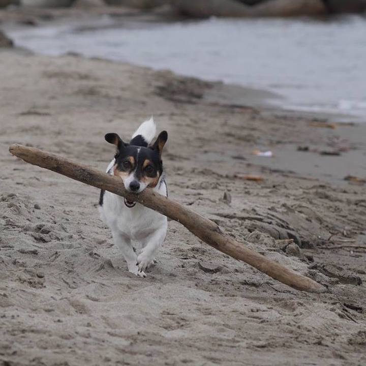 7a74b255 aa8a 4ddf 8af3 e1f941c2dbb2