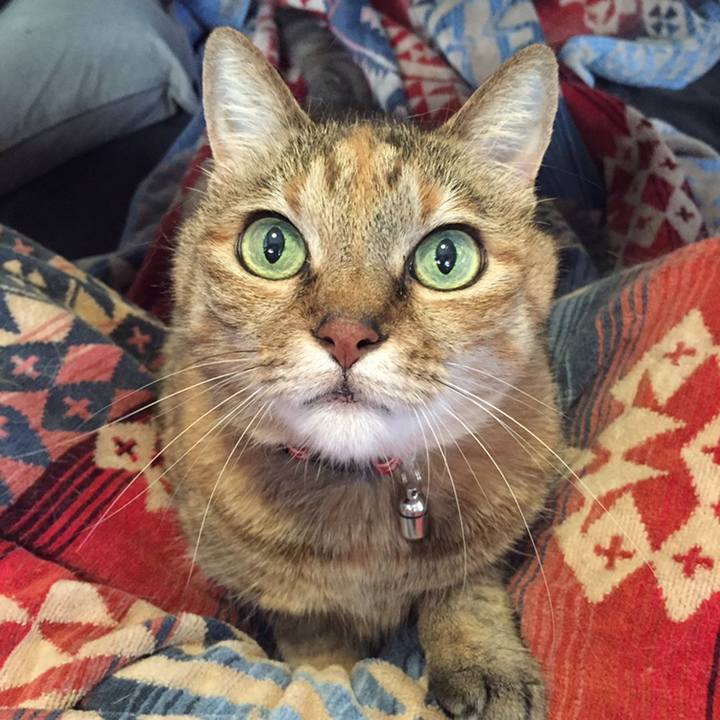 7a74b722 372f 41e2 b5cc 01e5ad3b8772