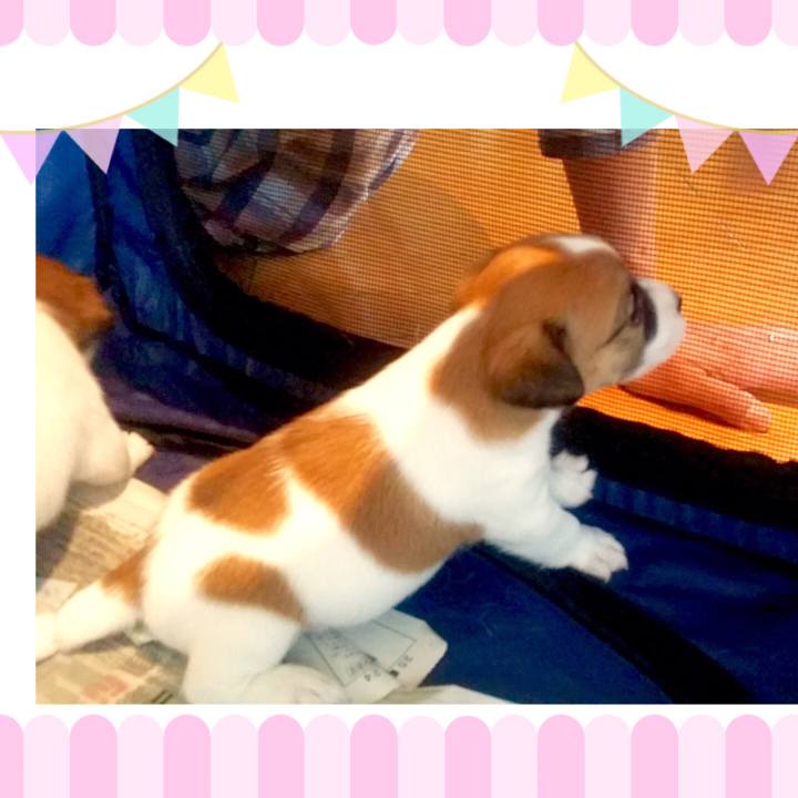 7a74e994 f332 42f4 b7d9 82ee059d646f