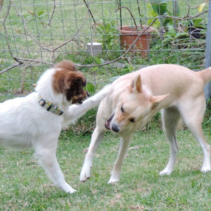 7a74f278 5aaa 4d9a a94e 62977e80443f