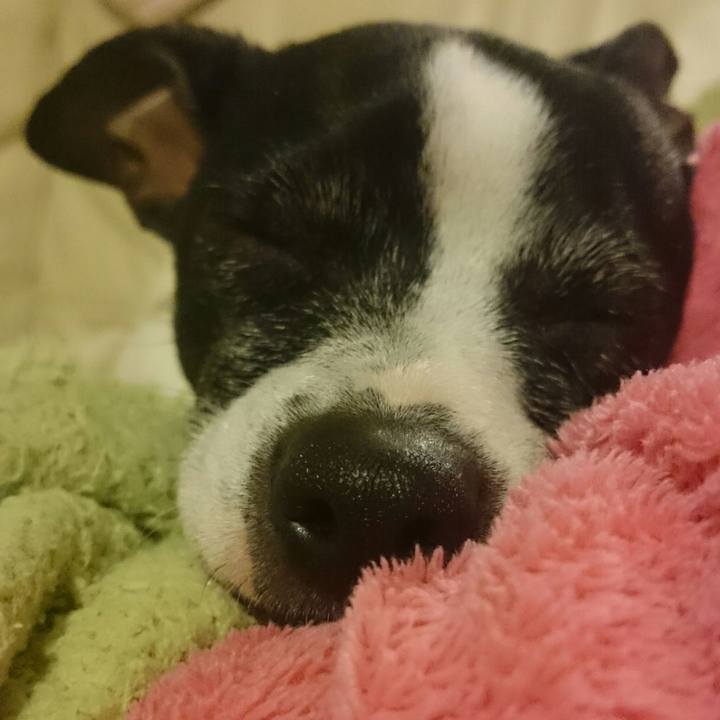 7a75f403 45b0 4304 b207 4e031b5c78f2