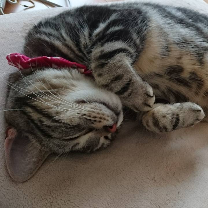 7a769fca edb8 4c46 8e4b 51a6977a19e4