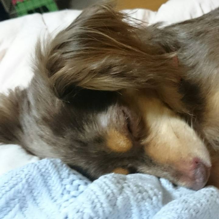 7a76a38a 4b14 4b98 94db 022e25a26e4e