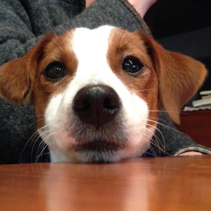 7a772b70 9a06 4c0f 9a00 027f94cdd8c2