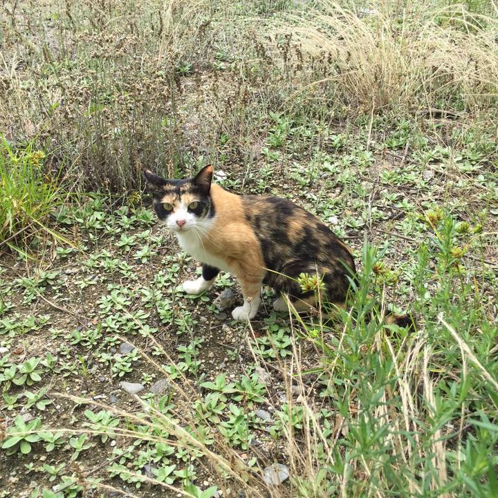 7a77cc95 3c79 4efd b2cf 3a23251fbb86