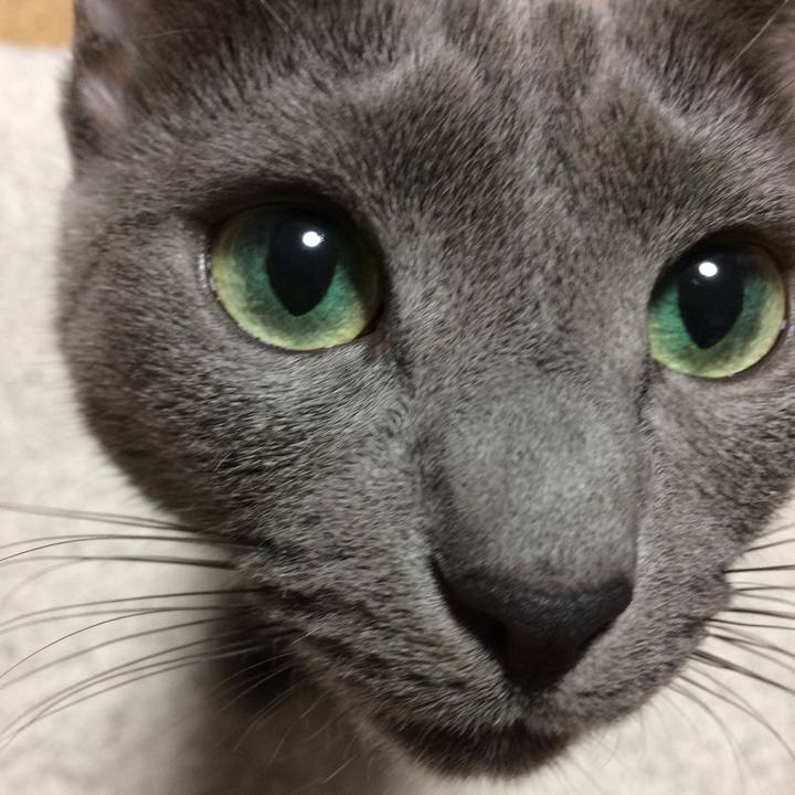 7a77eb6c 0894 43e3 9f54 37c046c6fc07