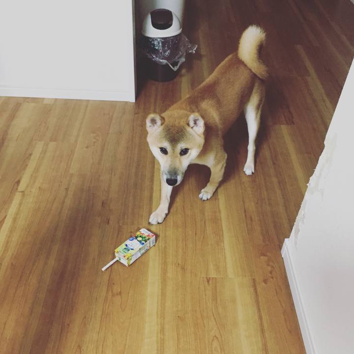 7a786a72 3196 4474 ab56 b11638f8dc95