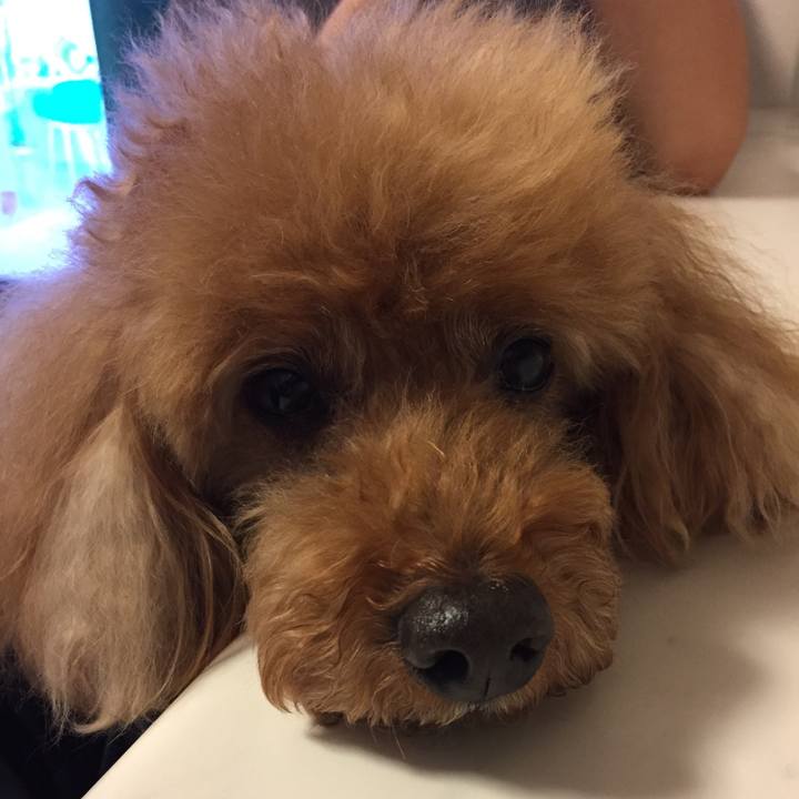 7a78788b 890c 402a b82d a5206b82f5d5