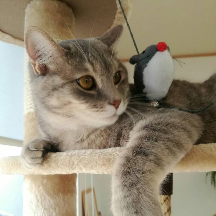 7a78e07e 87e5 47bb 848b 78a006003867