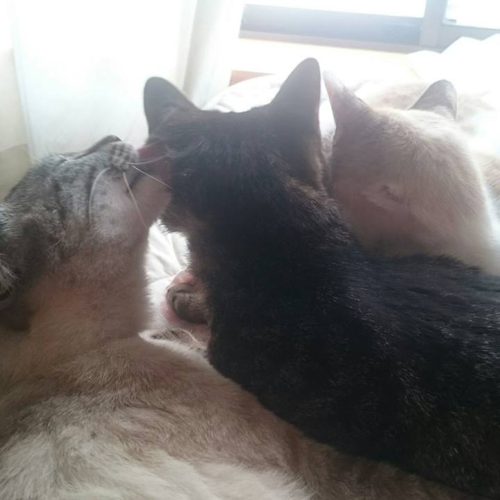 7a797736 9f07 4e54 8081 ead445b299aa