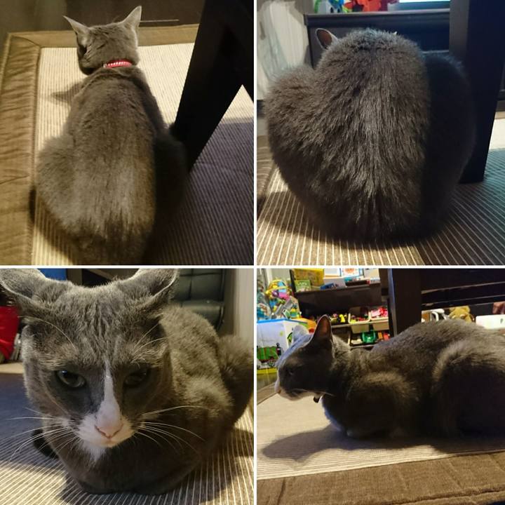 7a79b5df fd60 42e7 b9c9 3208a1efd5cc