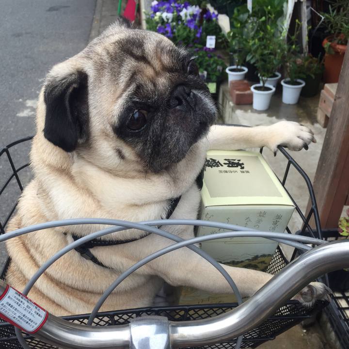 7a79d91e 4809 44fb 9279 e8851ad408d6