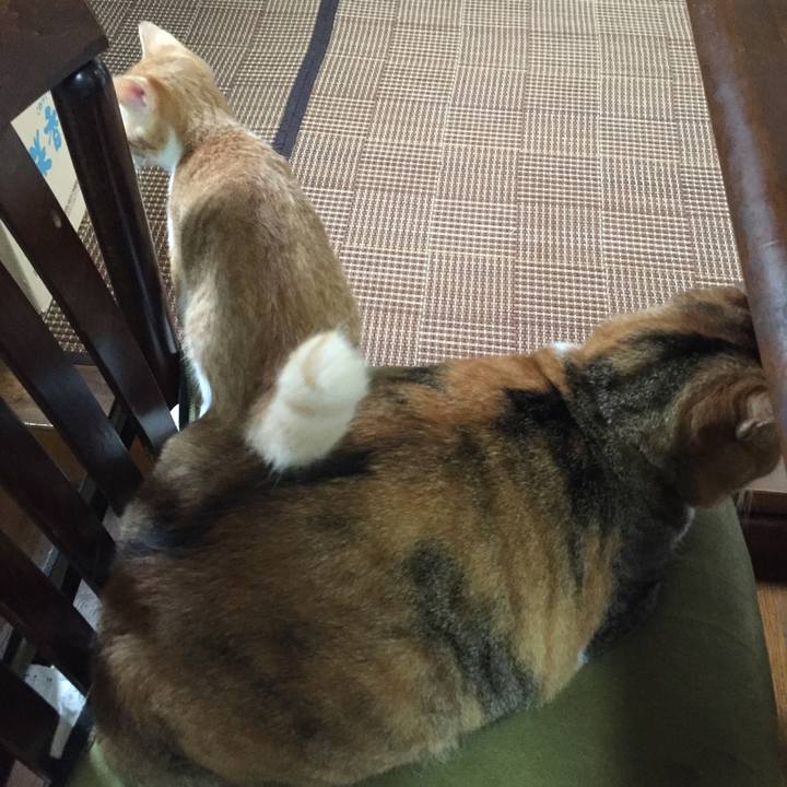 7a7a4aae bd79 4507 b44c f4b1d6f0a48c