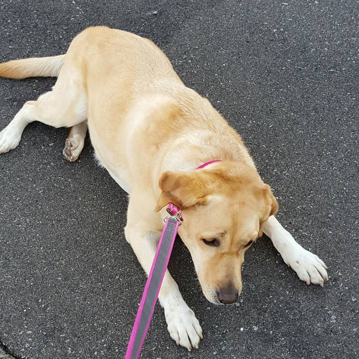 7a7a5f76 22a4 44f8 81ad 0bdf93958c43