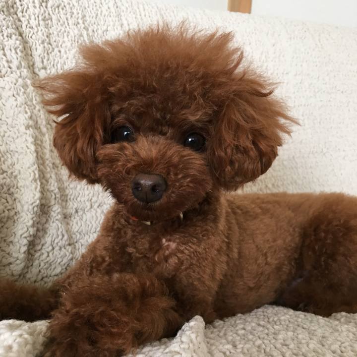 7a7aad19 aaff 4aa1 9a9b cca3e743fdbd