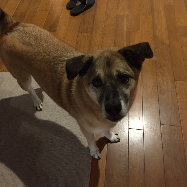 7a7aae44 aee1 4198 ba7d e20dfaadddcf