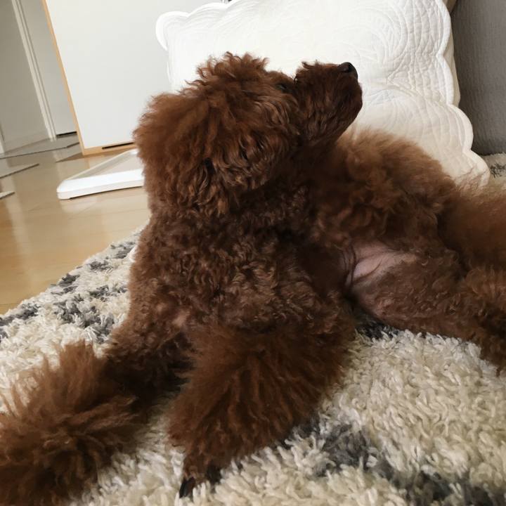 7a7abeea 3daa 4ed2 8506 f9e63ff74bb4