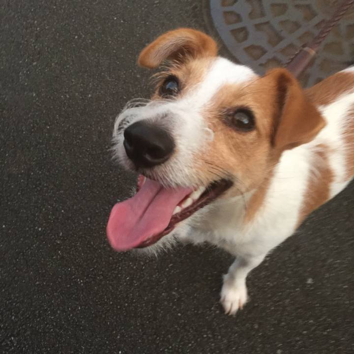 7a7adbfa 6247 4126 9b7c 23a737e2da98