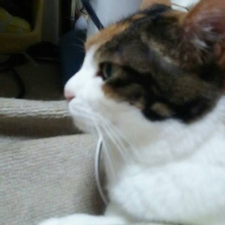 7a7b0385 4a04 45de a8d2 6333f1703d3e