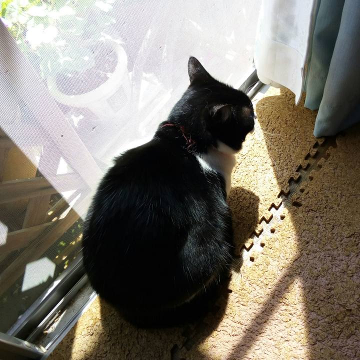 7a7c11fa c8d4 4d8f 9cea 06565c6f1fc7