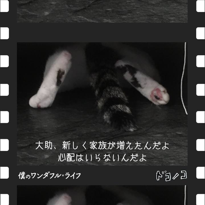 7a7c812e d204 4b17 a3fc 4b2bd554e06d