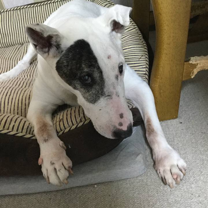 7a7d70a7 1c66 4fa6 8a89 5173f6eedf38